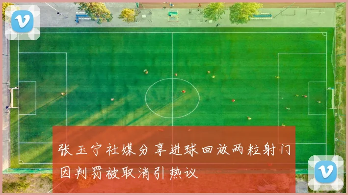 张玉宁社媒分享进球回放两粒射门因判罚被取消引热议