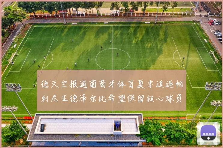 德天空报道葡萄牙体育夏季追逐帕利尼亚德泽尔比希望保留核心球员
