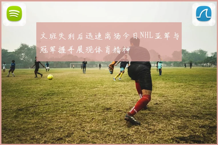 文班失利后迅速离场今日NHL亚军与冠军握手展现体育精神